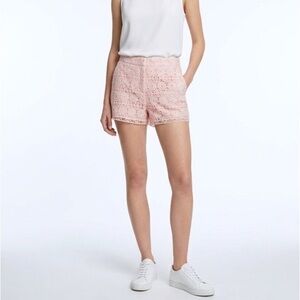 Highrise Soft Punk Pull On Appliqué Shorts